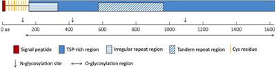 A Mucin-Like Protein Is Essential for Oviposition in Nilaparvata lugens